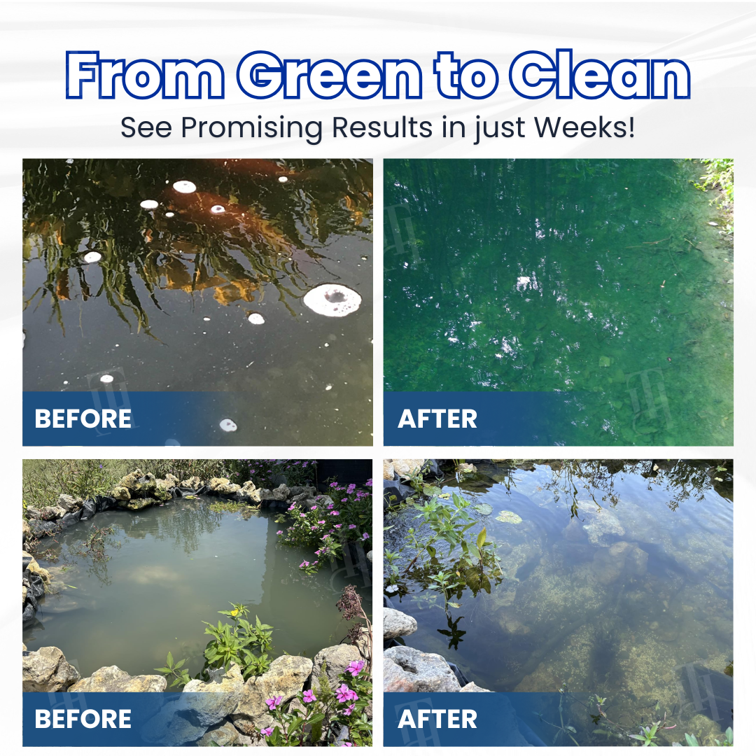 Isilila® Aqua-Guardian Pro Formula🐟 From Swampy Green to Crystal Clear – Without the Chemicals