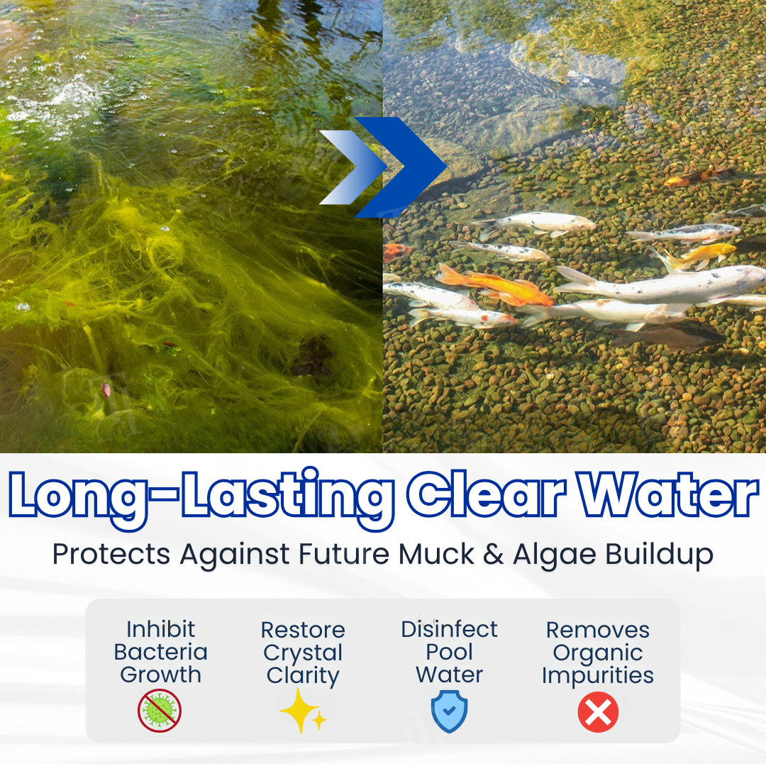 🌟 Official Store |⏱️ Crystal Clear in 24 Hours! | Remifa® Aqua-Guardian Pro Formula